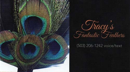 Tracys Fantastic Feathers